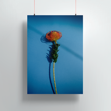 Afbeelding in Gallery-weergave laden, IMPERISHABLE FLOWER - BLUE

